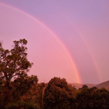 Rosebank Guesthouse Healesville Esterno foto