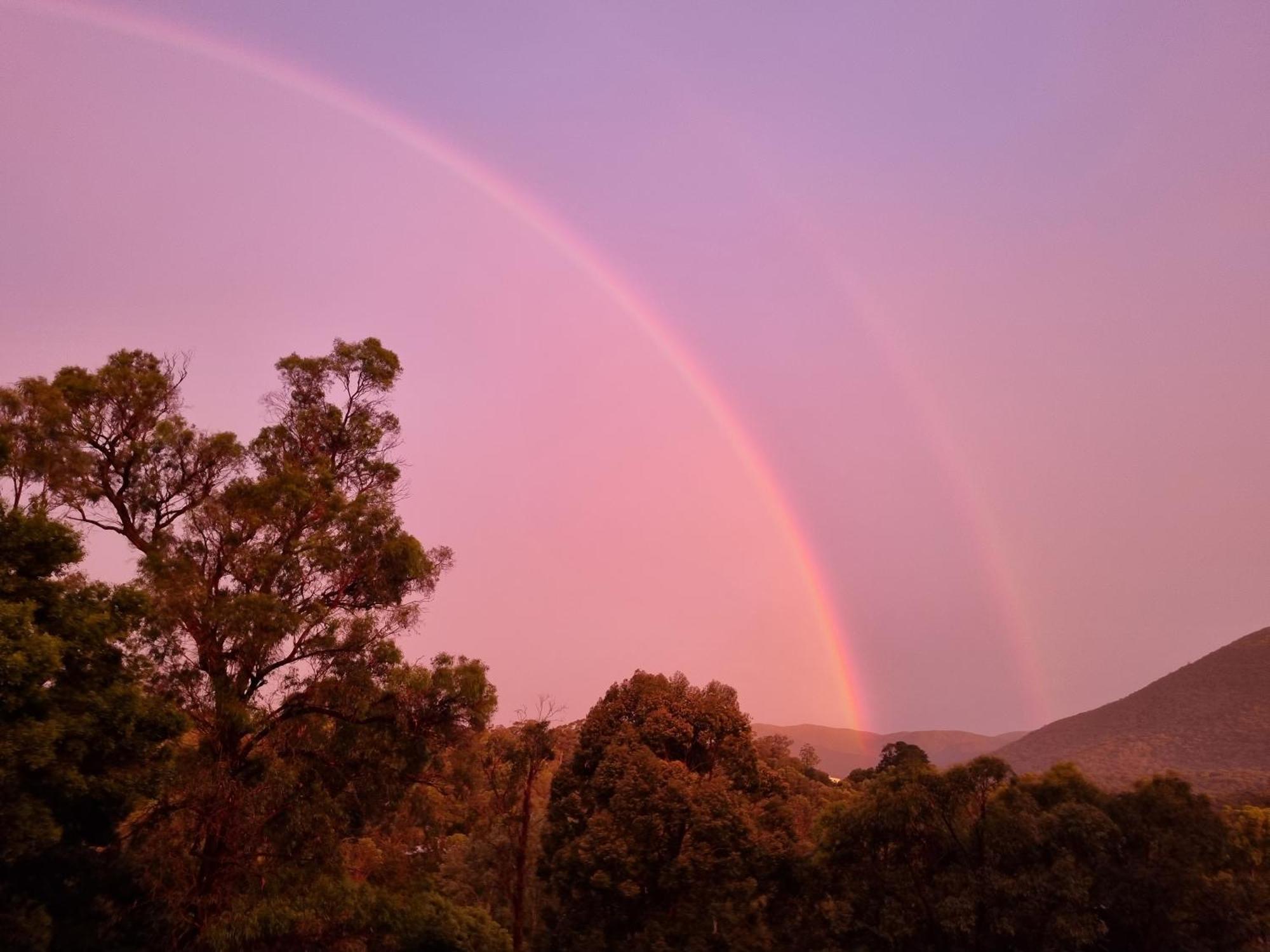 Rosebank Guesthouse Healesville Esterno foto