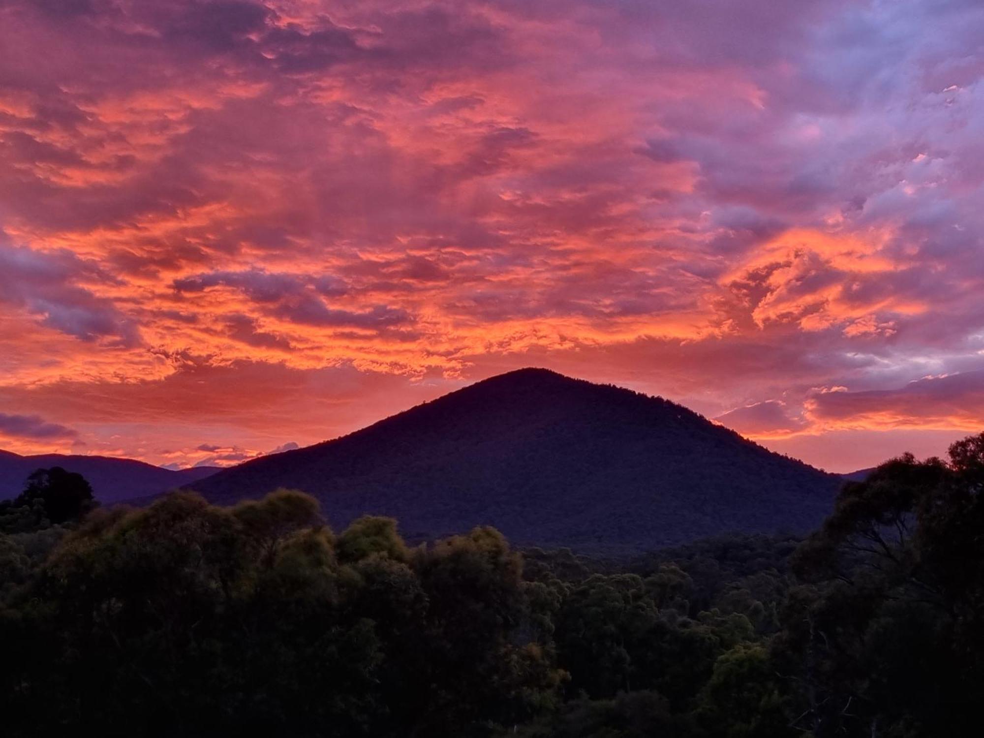 Rosebank Guesthouse Healesville Esterno foto